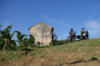 Zwischen den Weinen - Frankreich